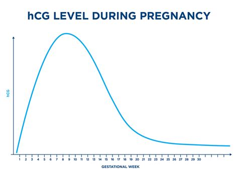hcg pregnancy dating